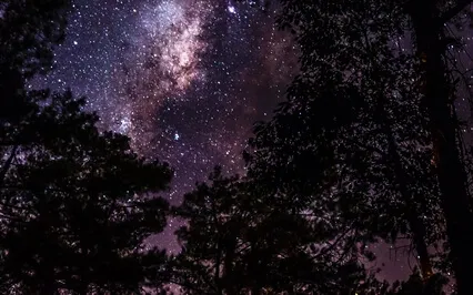 Relax Music - Meditation - Chill - Sleep