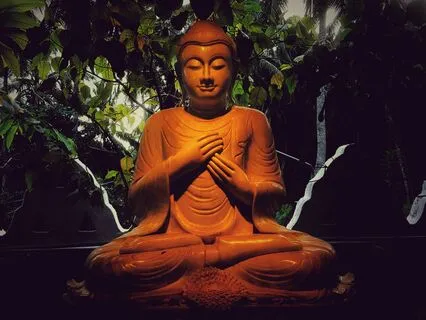 Relax, Observe, Allow