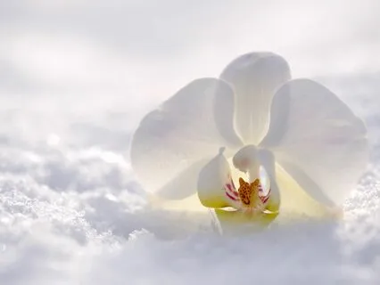 Relax - Refresh - Recharge