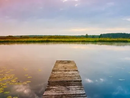 Relax & Release: A 5-Minute Meditation