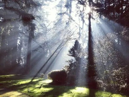 Relax. Release. Receive Reiki.