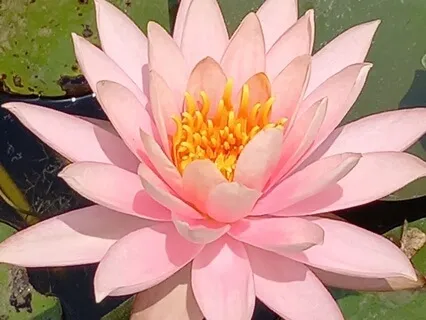 Relax & Release Tension Stored In Your Muscles