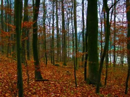 Relax & Release With Crystal Bowl & Crystal Harp Meditation