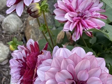 Relax, Reset & Rejuvenate