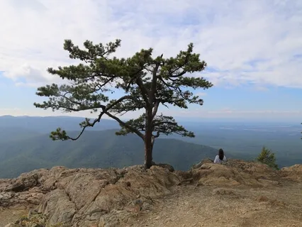 Relax The Body, Reduce Stress, And Just Be