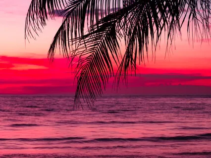 Deep Sleep - Relax The Children