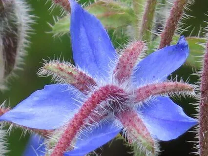 Relax Under The Blue Umbrella
