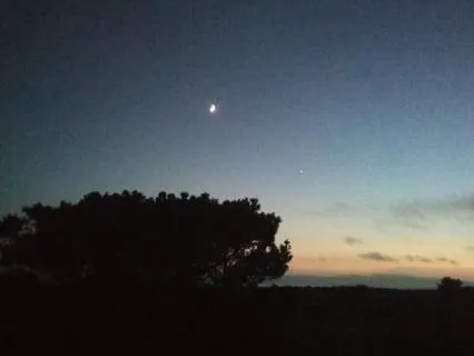 Relax Under The Moon: Bed Time Guided Imagery