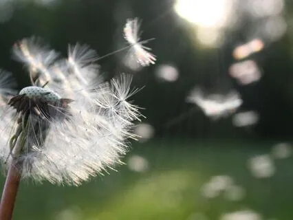 Relax & Unwind: After Work Destress