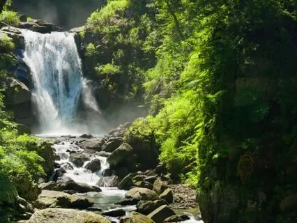 Relax, Unwind And Sleep With This Harp Soundscape