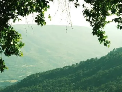 Relax With Green Noise Piano And Violin