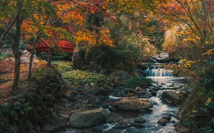 Relax With Non-Judgemental Curiosity 