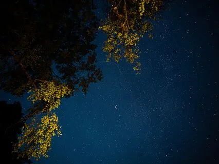 Relax Your Body Into Sleep