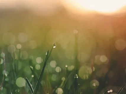 Relax Your Mind For Sleep + Calming Music