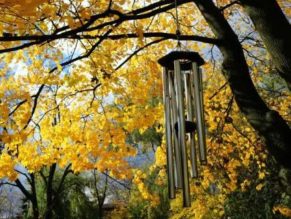 Relax Your Mind With Theta Wind Chimes