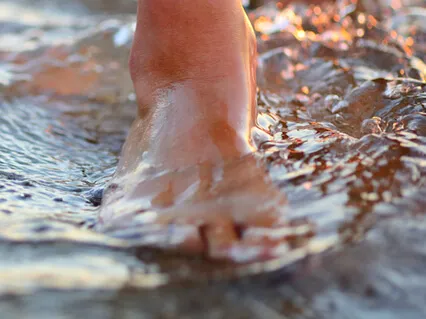 Relax Your Nervous System