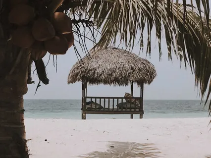 Relaxa o Teu Corpo e a Tua Mente