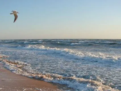 Relaxamento com som de oceano