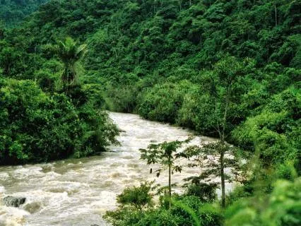 Relaxamento com sons de rios e fontes