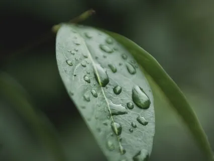 Relaxamento Conduzido