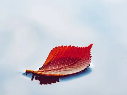 Relaxamento de Pontos-Chave