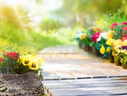 Relaxamento no Jardim da Mente