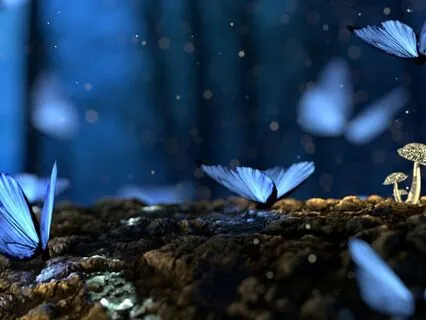 Relaxamento para Dormir Melhor