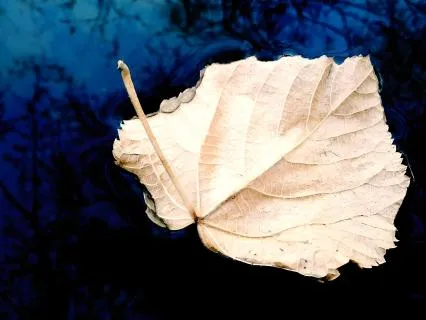 Relaxamento progressivo