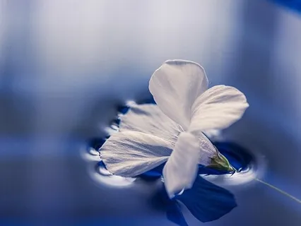 Relaxation & Clarity Meditation