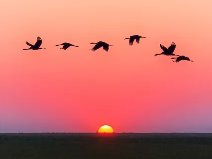 Relaxation And Healing