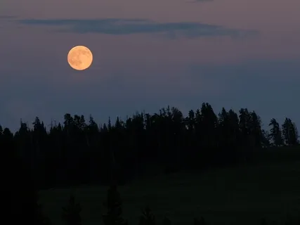 Relaxation & Into Deep Sleep