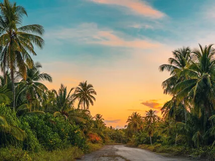 Relaxation & Meditation: Relax Therapy - Find Your Inner Peace (Tropical Forest Sound + Binaural Beats)