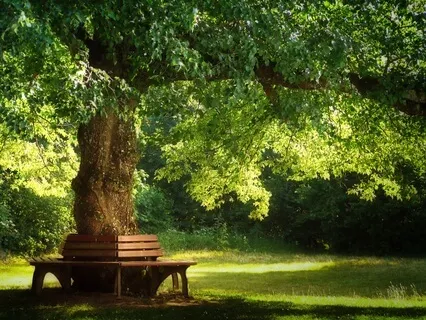 Relaxation, And Regulation In A Pinch