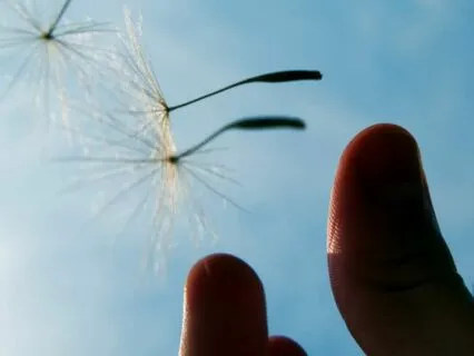 Relaxation And Rejuvenation