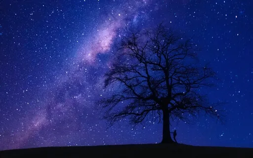 Relaxation And Sleep, Meditative Sleep Music