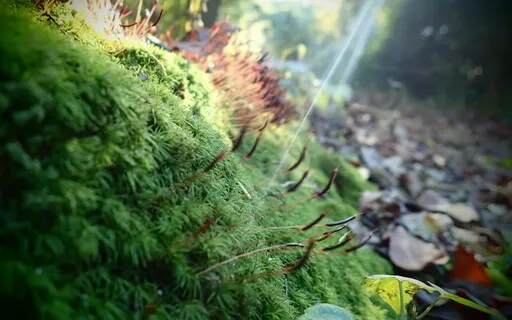 Relaxation Anytime You Need It - A Tool