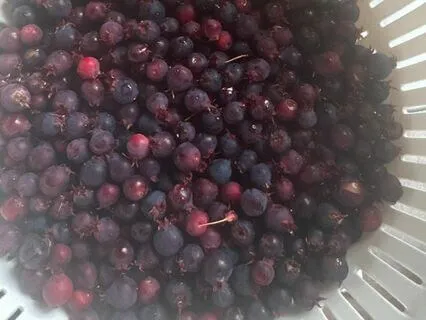 Relaxation Back Into Swing Of Things