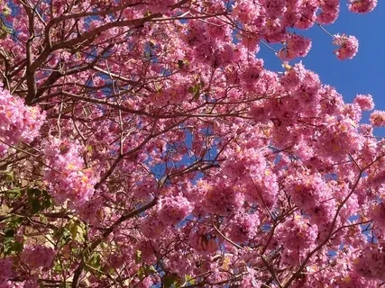 Relaxation for Beginners