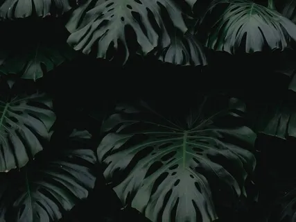 Relaxation For Better Sleep