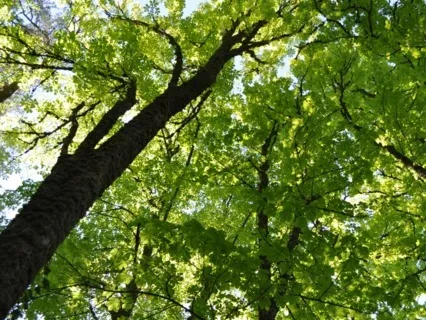 Relaxation For Children: Breathing Relaxation