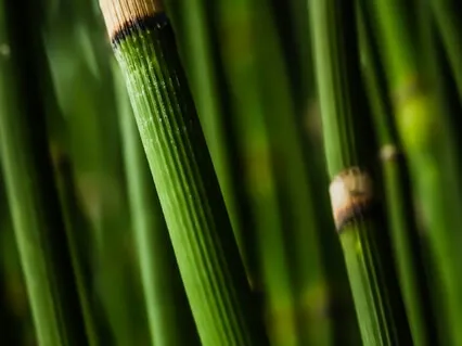 Relaxation For People Struggling With Achieving Rest And Relaxation 