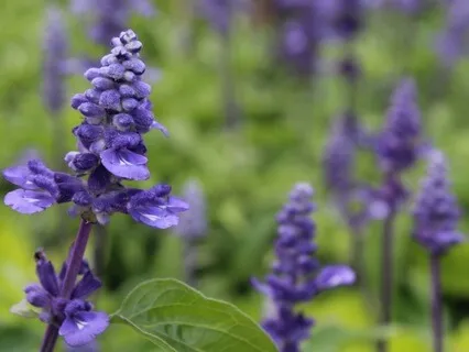 Relaxation For Self-Care