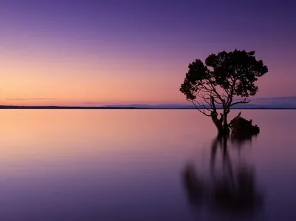 Relaxation For Sleep (No Music)