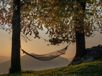 Relaxation I Wish I Found Sooner: Birdsong & Tuning Forks