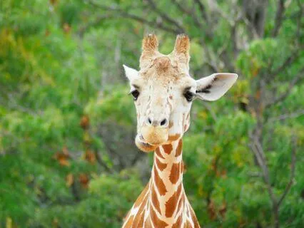 Relaxation Is Who You Are: Reflective Meditation For Stress