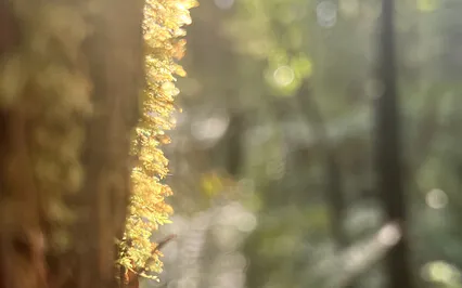 Relaxation: Let Water Teach You To Let Go