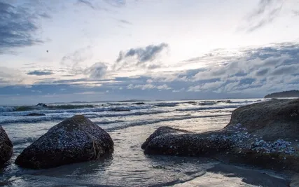 Relaxation Meditation 