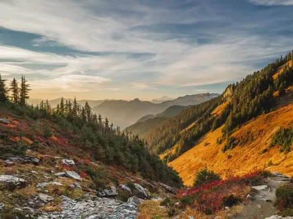 Release Tension & Relax