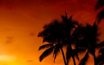 Relaxation Meditation Ambient Music
