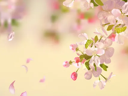 Relaxation Meditation - Namit Kathoria